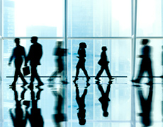 組織結(jié)構(gòu)圖